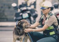 ნახეთ, როგორ ეხმარებიან უსახლკარო ცხოველებს პოლიციელები!