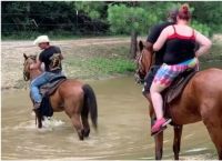 ცხენმა მომაბეზრებელი ტურისტები მდინარეში გადაყარა (სახალისო ვიდეო)