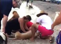 ქალმა ძაღლი დახრჩობას გადაარჩინა. მან დაზარალებულს ხელოვნური სუნთქვა ჩაუტარა! (+ვიდეო)