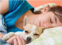 ქალები უკეთ იძინებენ ძაღლების გვერდით, ვიდრე კატებთან