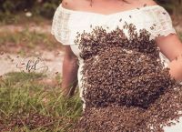 ფეხმძიმე ქალი 20 000-ზე მეტი ფუტკრის გარემოცვაში მომავალ დედობას აღნიშნავს (+ვიდეო)