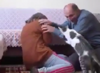 კატა წინააღმდეგობას უწევს მამაკაცს, რომელიც საკუთარ ცოლს სცემს (+ვიდეო)