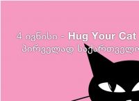  Hug Your Cat Day - ყველაზე განსხვავებული დღე კატიანთან ერთად!