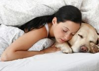 7 მოულოდნელი მიზეზი, რატომ უნდა ეძინოს ძაღლს პატრონის გვერდით