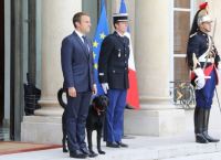 საფრანგეთის პრეზიდენტმა თავშესაფრიდან ძაღლი აიყვანა