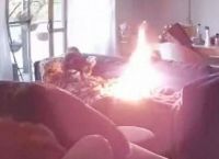 ძაღლმა პატრონის სანთებელა მოიპარა და სახლი გადაწვა (+ვიდეო)