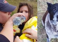17 წლის სმენადაქვეითებული ძაღლი ტყეში დაკარგულ ბავშვს მთელი ღამე იცავდა (+ვიდეო)