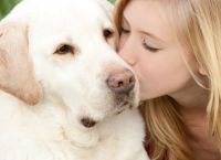 ძაღლის 10 ჯიში, რომლებიც დეპრესიის დაძლევაში დაგეხმარებიან