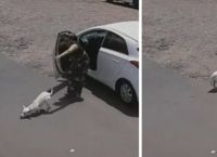 პატრონმა შეზღუდული შესაძლებლობების მქონე ძაღლი მანქანიდან ჩამოსვა და ქუჩაში მიატოვა (ემოციური ვიდეო)