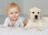 რატომ უნდა ჰყავდეს ყველა ბავშვს ძაღლი?