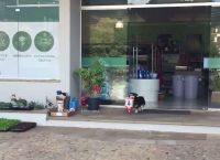 ძაღლი პუტიკო, რომელიც მაღაზიაში საყიდლებზე დამოუკიდებლად დადის (+ვიდეო)