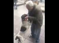 3 წლის წინ დაკარგული ძაღლი პატრონმა რუსთაველის გამზირზე იპოვა, მათი შეხვედრა საოცარია (ემოციური ვიდეო)