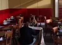 კენგურუ ავსტრალიურ კაფეში საუზმის დროს მივიდა (+ვიდეო)