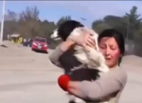 ვულკანის ამოფრქვევის შედეგად ქალმა სახლი მიატოვა და ძაღლიც დატოვა, მას იმედი აღარ ქონდა თავისი ძაღლის პოვნის...(+ვიდეო)
