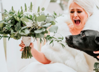 ძაღლთან ერთად გადაღებულმა ქორწილის ფოტოებმა ინტერნეტ სივრცეში პოპულარობა სწრაფად მოიპოვა
