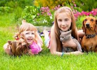 10 მიზეზი იმისა, რომ ბავშვები აუცილებლად უნდა იზრდებოდნენ შინაურ ცხოველებთან ერთად