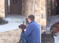 გოგონა ცრემლებს ვერ იკავებდა, როდესაც მას ძაღლი აჩუქეს (ემოციური ვიდეო)