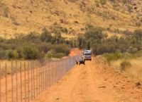 კატებისგან მცირე ზომის ცხოველების დასაცავად ავსტრალიაში ყველაზე გრძელი ღობე აშენდა (+ვიდეო)