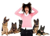 კინოფობია - თვითგადარჩენა თუ ძაღლების შიში?