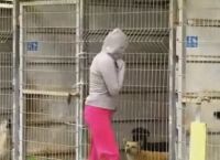 ქალმა ვერ გადაწყვიტა, რომელი ძაღლი აეყვანა თავშესაფრიდან, ამიტომ ყველა სახლში წაიყვანა (+ვიდეო)