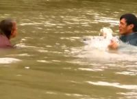 კაცმა წყალდიდობის დროს მანქანიდან ქალი და მისი ძაღლი გამოიყვანა (+ვიდეო)