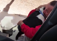 ეს ძაღლი თავის ოჯახთან შესახვედრად მიდის, მაგრამ როგორი რეაქცია აქვს მისი ხილვისას პატრონს? (ემოციური ვიდეო)