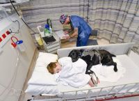 ძაღლი თავის პატარა მეგობარს საავადმყოფოში მარტოს არ ტოვებს
