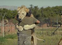 გარეული ცხოველების მოყვარულმა, აფრიკაში, საკუთარი ნაკრძალი გააკეთა (+ვიდეო)