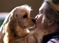 ძაღლს შეუძლია დიაბეტით დაავადებულ ადამიანს ჰიპოგლიკემიის შეტევა უწინასწარმეტყველოს