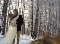 პატრონის ქორწილი ძაღლმა ვიდეო კამერაზე გადაიღო (+ვიდეო)
