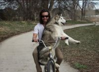 მოგზაურ ძაღლს ინსტაგრამზე მილიონამდე თაყვანისმცემელი ყავს (13 ფოტო)