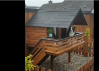 ძაღლებისთვის განკუთვნილი საოცრად კომფორტული სახლი, რომელსაც ფანჯრები და აივანი აქვს (+ვიდეო)