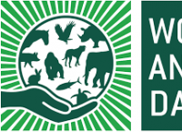 4 ოქტომბერს საქართველოში ცხოველთა დაცვის საერთაშორისო დღე (World Animal Day) აღინიშნება