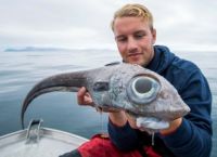 ნორვეგიაში დაიჭირეს თევზი ანომალიურად დიდი თვალებით
