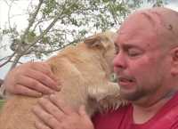 დაკარგული ძაღლისა და პატრონის საოცარი შეხვედრა ტორნადოს შემდეგ (+ვიდეო)