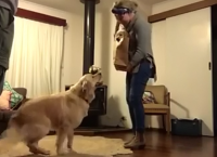 ძაღლის რეაქცია, რომელმაც დაბადების დღეზე საუკეთესო საჩუქარი მიიღო (სახალისო ვიდეო)