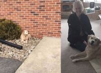 ძაღლმა, რომელიც ეკლესიაში დატოვეს, ოცნების სახლი იპოვა
