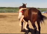 გოგონა ცხენზე დაჯდომას უშედეგოდ ცდილობს... როგორ მოიქცა ჭკვიანი ცხენი? (+ვიდეო)