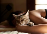 5 მიზეზი, რატომ უნდა ეძინოს კატას პატრონის გვერდით