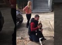 ძაღლს პატრონი 18 თვე არ უნახავს, შეხვედრისას ცხოველის რეაქცია საოცარია (ემოციური ვიდეო)